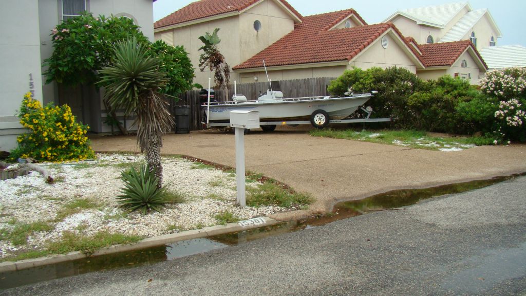 EXISTING PLANTS AND ROCK FRONT YARD TO BE REMOVED